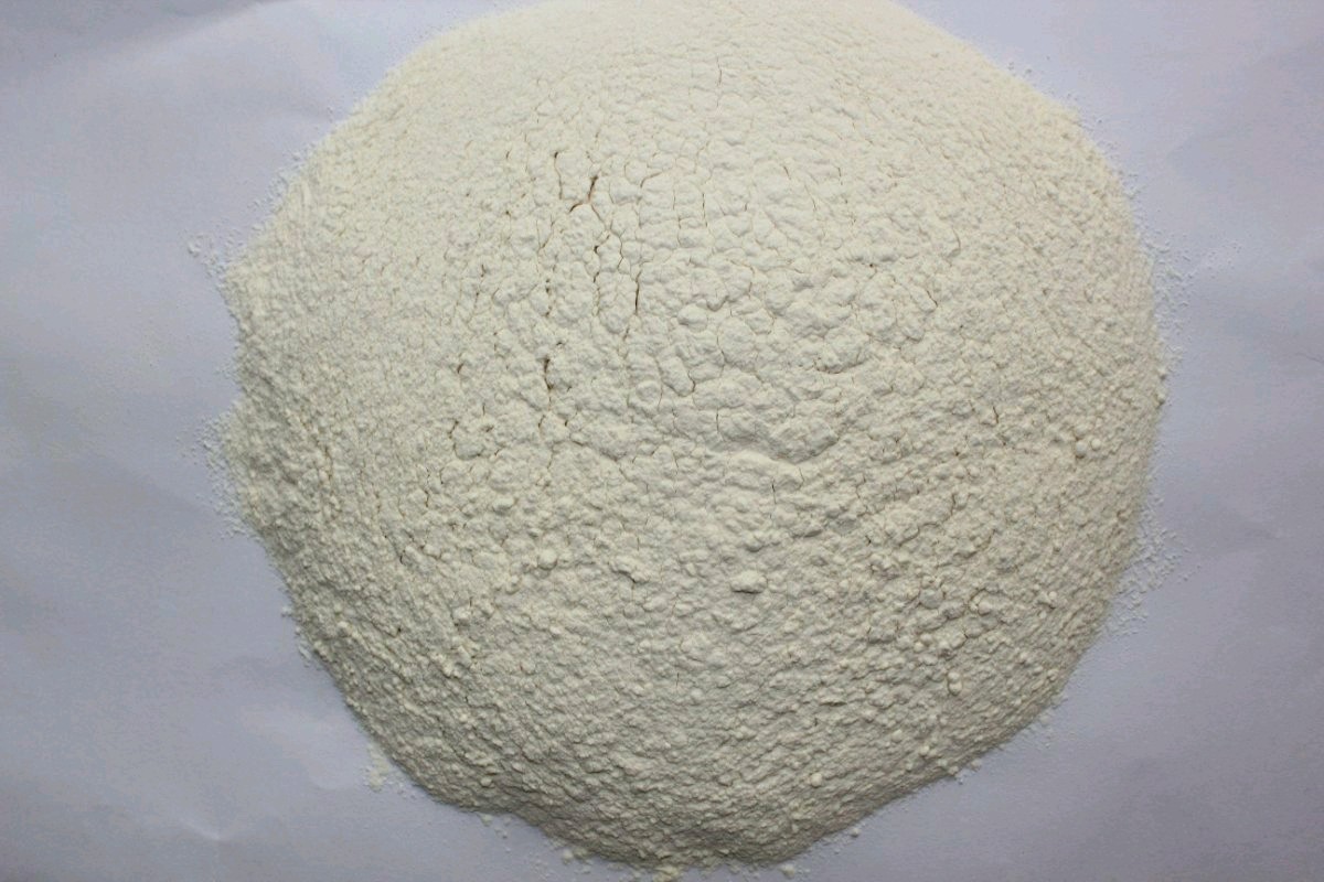 WHITE ONION POWDER